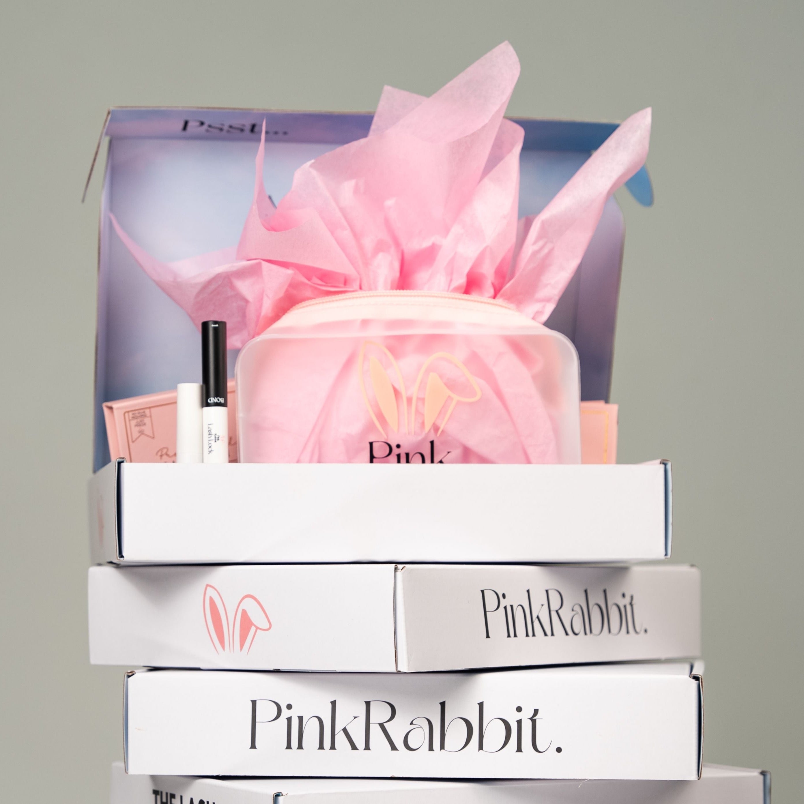 THE BUNNY CLUB SUBSCRIPTION PROGRAM